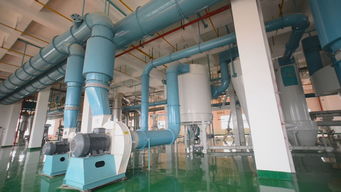 長城專訪丨蛙牌 為寵物帶去健康，為寵物主人帶來安心——專訪蛙牌軟件開發(fā)團(tuán)隊(duì)